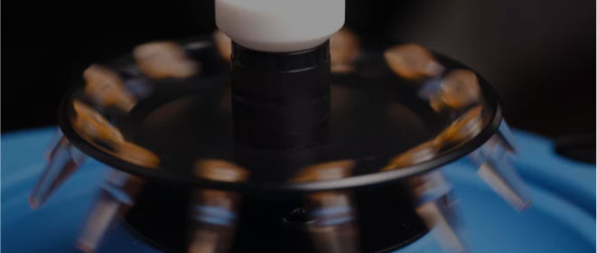 Biasanya tiga hingga empat bulan.